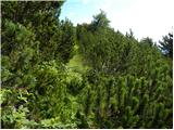 Planina Loka - Kup (na Raduhi)